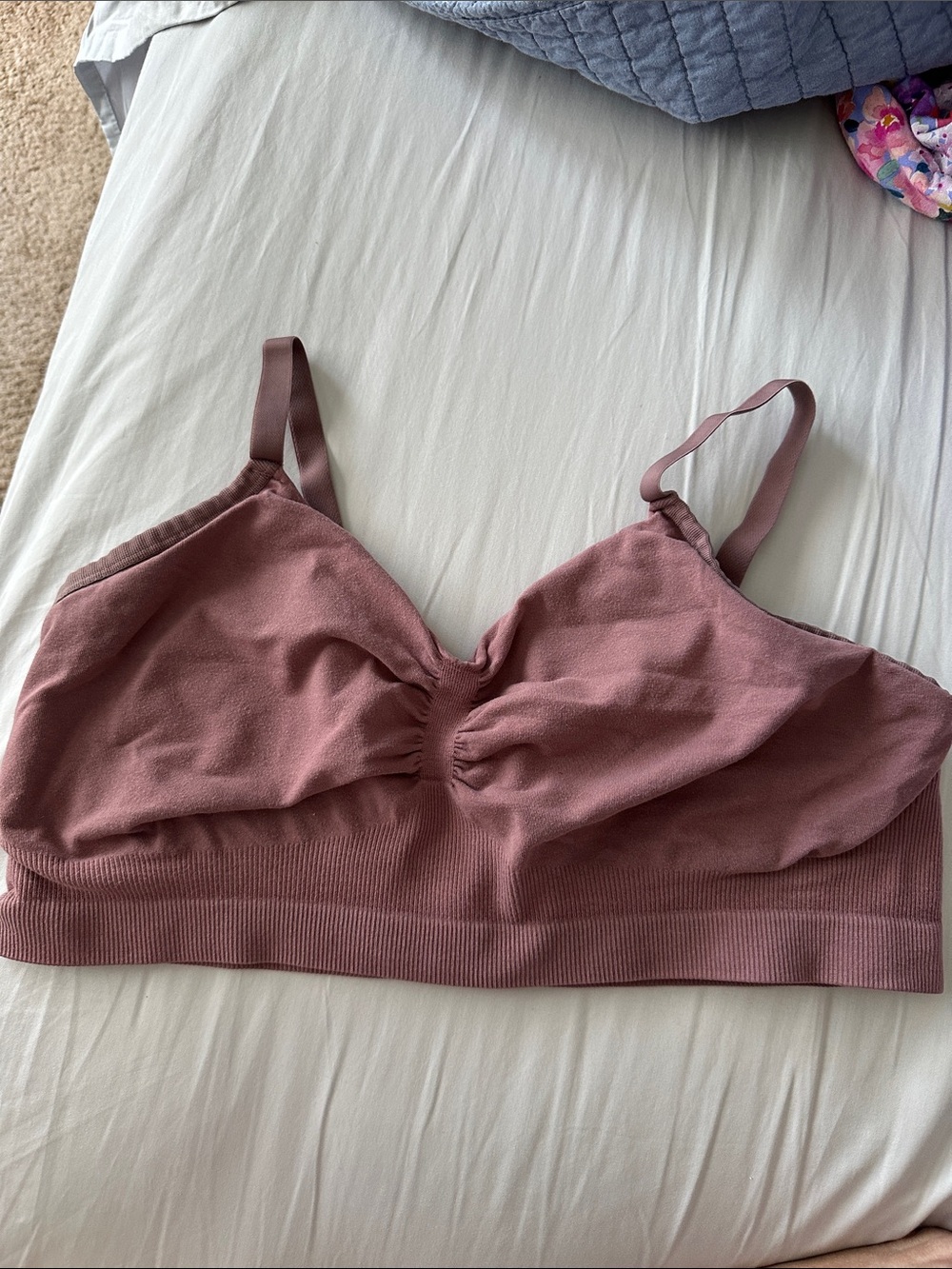 Kindred Bravely mauve pump bra